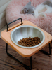 Dog Cat Bowl Pet Feeder HWD-PF01