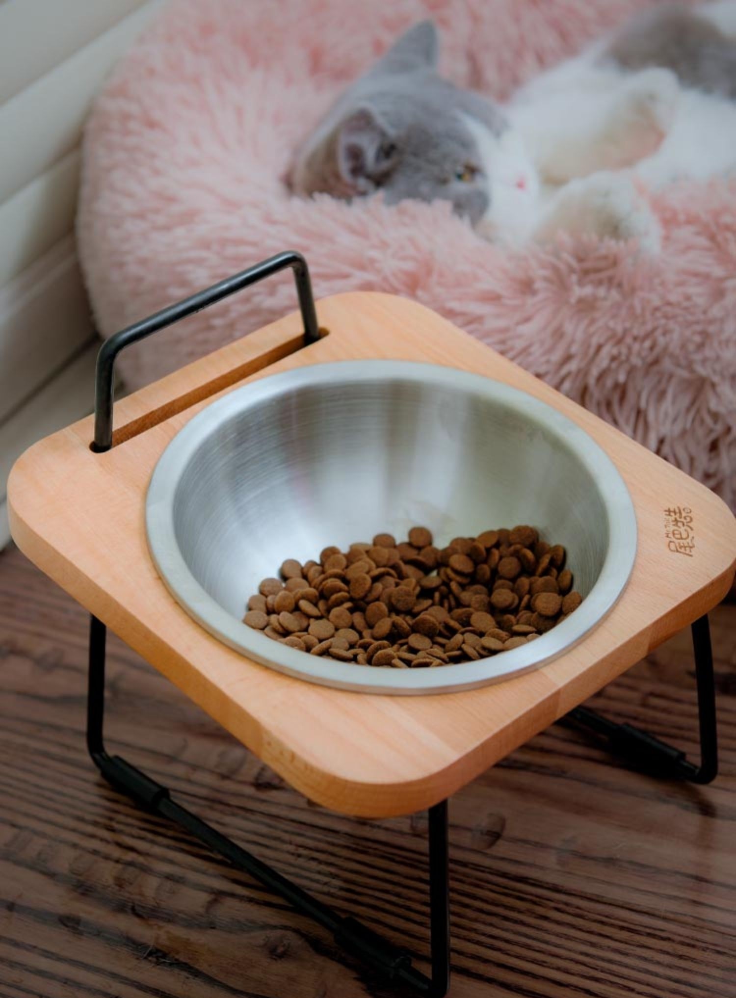 Dog Cat Bowl Pet Feeder HWD-PF01