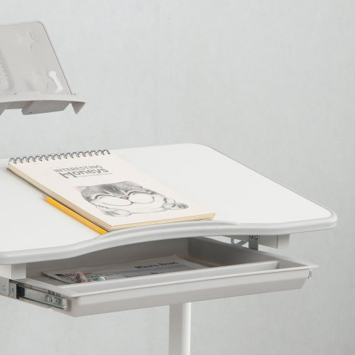 Adjustable Kids Table and Chair Sets H-DX01 Tilting desktop